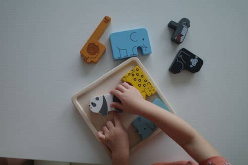 Animal Puzzle Game Wooden Game PlanToys