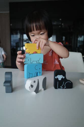 Animal Puzzle Game Wooden Game PlanToys